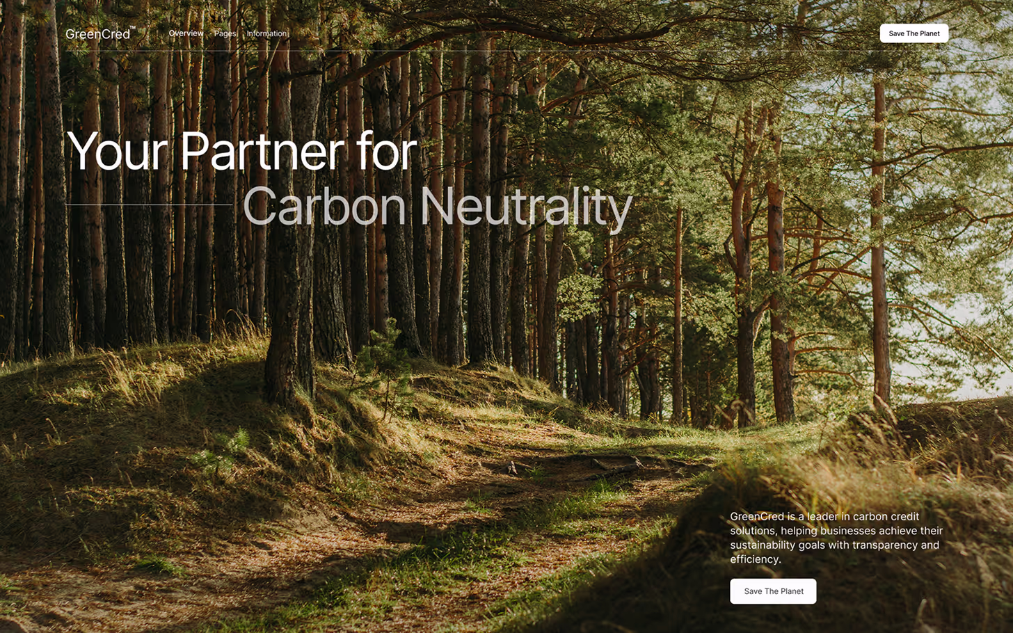 Hero Section Project GreenCred By Pablo Pineda